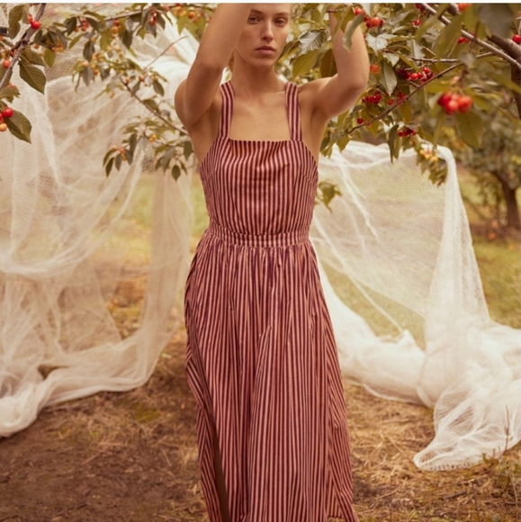 Bird and Knoll Dahlia dress in mimosa stripe - Picture 4 of 5